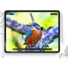 Folia Ochronna HOFI Paper PRO+ 2 Pack Ipad PRO 11” 5 / 2024 Matte Clear